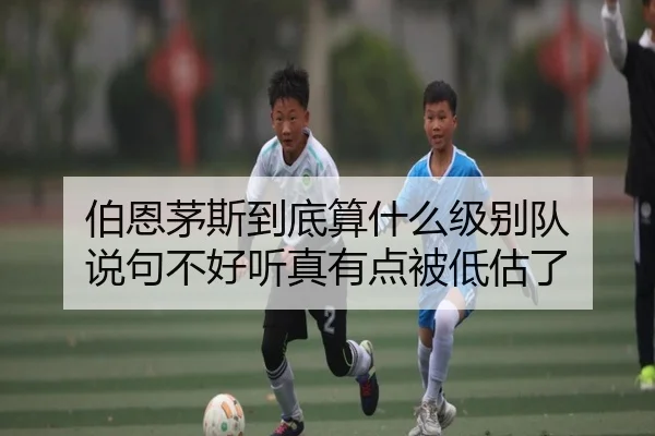 伯恩茅斯到底算什么级别队 说句不好听真有点被低估了
