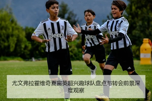 尤文弗拉霍维奇夏窗英超兴趣球队盘点与转会前景深度观察